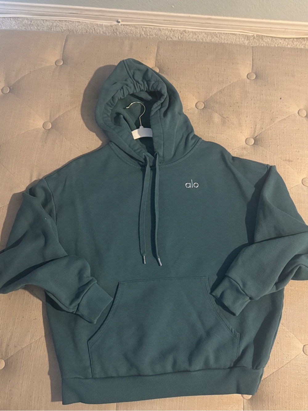 ALO Yoga Oversized Hoodie -M- Winter Ivy